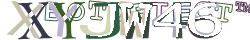  Custom Captcha image tooltip